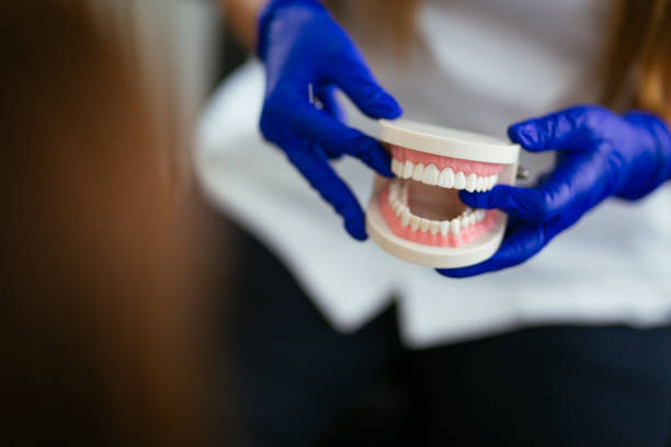 Trusted Julesburg, CO Dental Services Experts